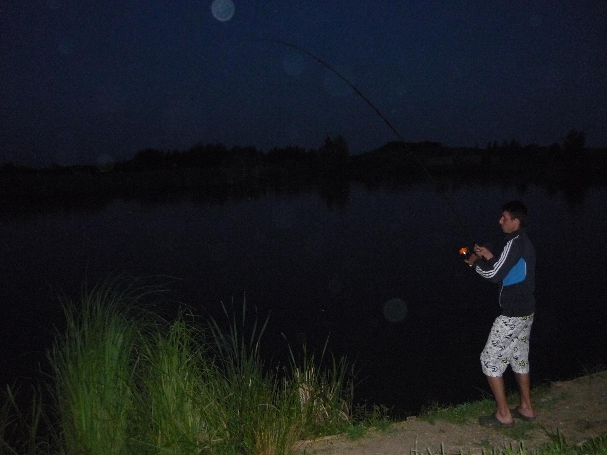 turulung - p1050547.JPG